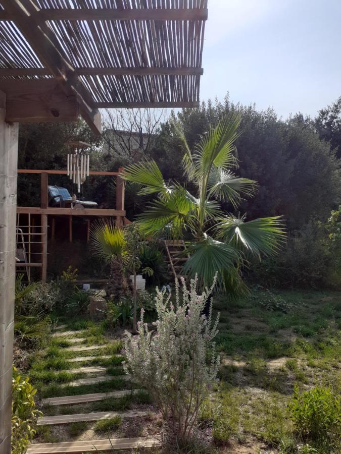 Chambre Privee Au Coeur D'Une Pinede Dans Un Quartier Residentiel Hotel Lezignan-Corbieres Bagian luar foto